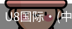 U8国际