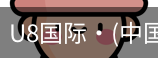 U8国际